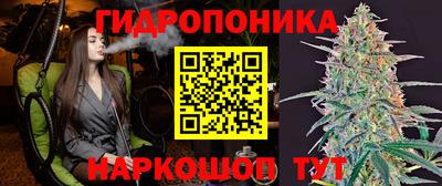 гашиш Кингисепп