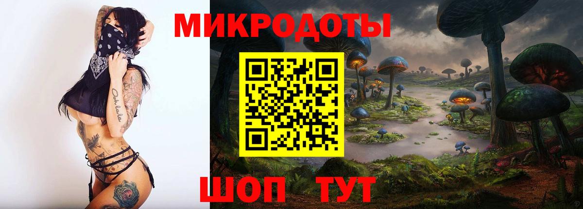 сколько стоит  Псилоцибиновые грибы мицелий  Вход с VPN  Урюпинск  Галлюциногенные грибы Psilocybe 