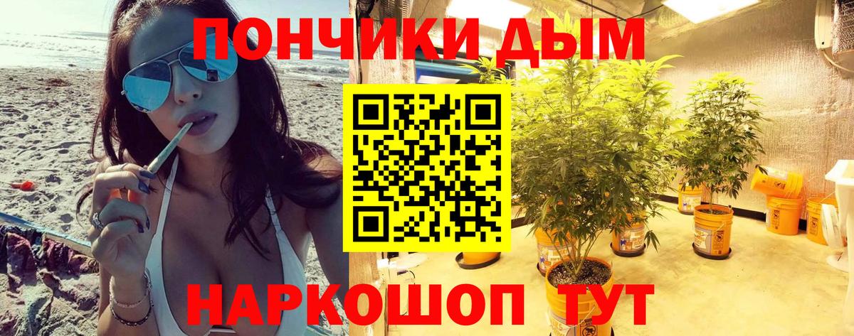 Бошки Шишки индика Урюпинск
